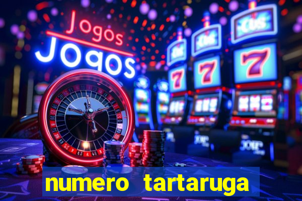 numero tartaruga jogo do bicho